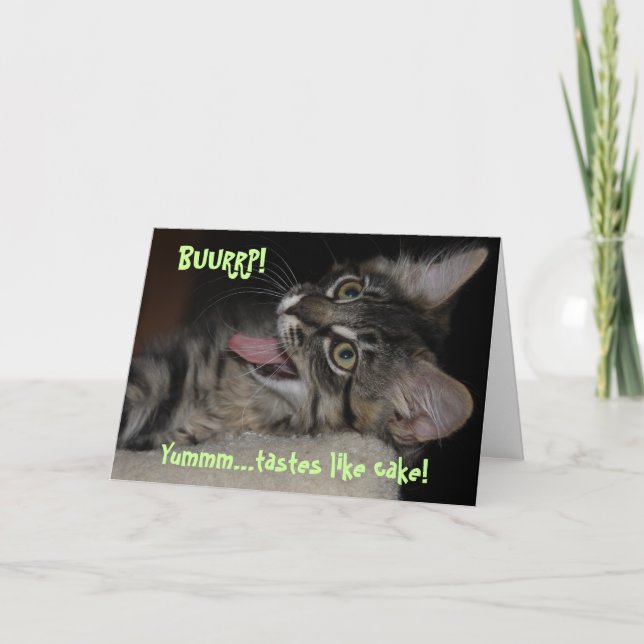 Kimber Burping Cat Birthday Card (Front)