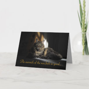 Kimber Cat Slivers of Sunlight I Love You Card