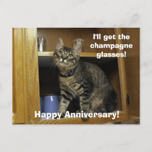 Kimber in the Cupboard Anniversary Postcard