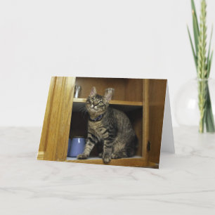 Kimber in the Cupboard Blank Greeting Card
