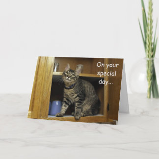 Kimber Kitten in the Cupboard Mother's Day Card
