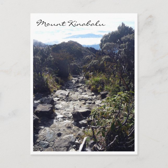 kinabalu trail postcard (Front)