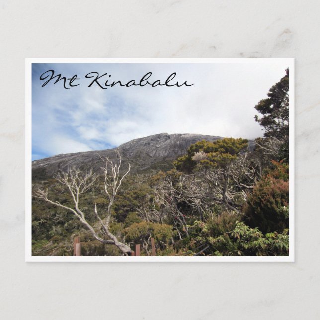 kinabalu vegetation postcard (Front)