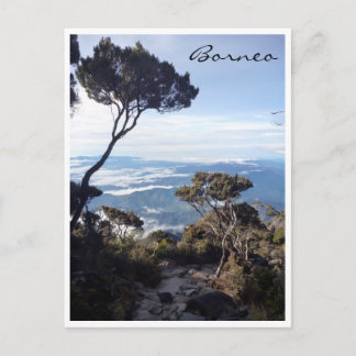 kinabalu view tree postcard
