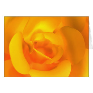 Kindled Rose Card