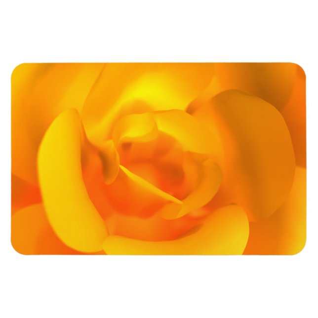 Kindled Rose Flexible Magnet (Horizontal)