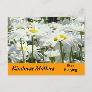 Kindness Matters postcards Stop Bullying promotion