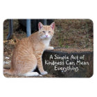 Kindness Orange Tabby Cat Magnet