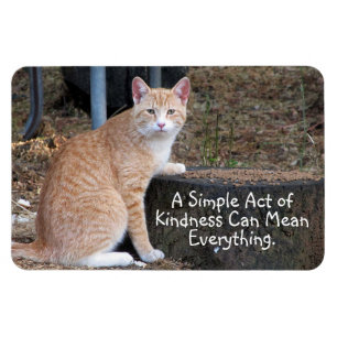 Kindness Orange Tabby Cat Magnet