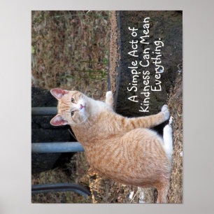 Kindness Orange Tabby Cat Poster