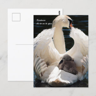 Kindness Postcard
