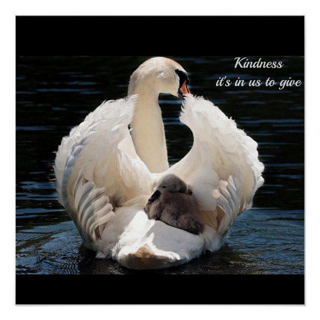 Kindness Poster (Front)