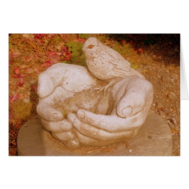 Kindness To All (Front Horizontal)