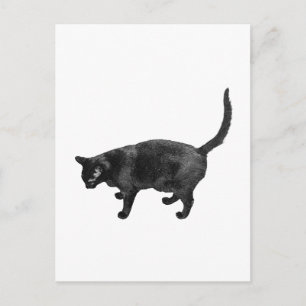 Kindness Travels With Careful Steps Postcard