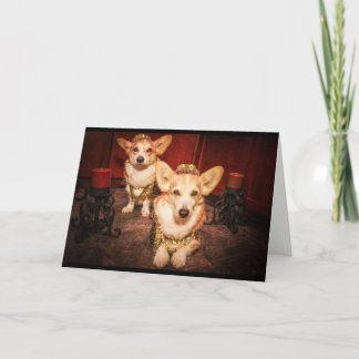 King and Queen Corgi Anniversary card