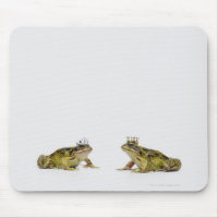 King and Queen frog looking at each other