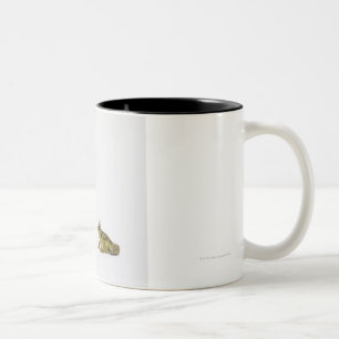King and Queen frog looking at each other Two-Tone Coffee Mug