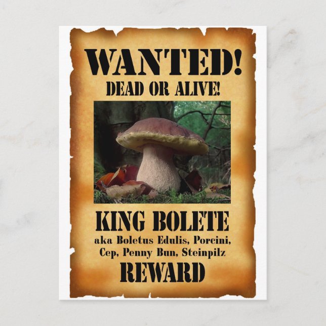 King Bolete - Wanted Dead or Alive Postcard (Front)