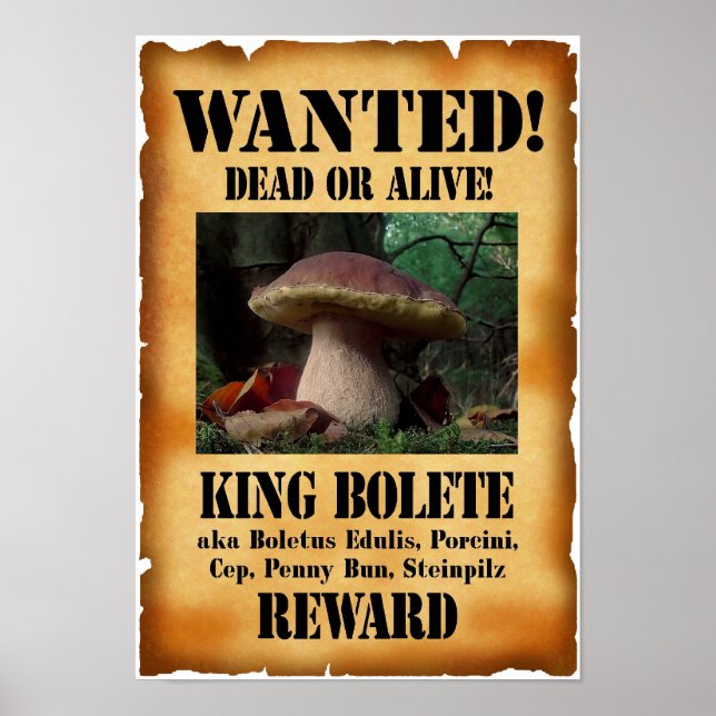 King Bolete - Wanted Dead or Alive Poster (Front)