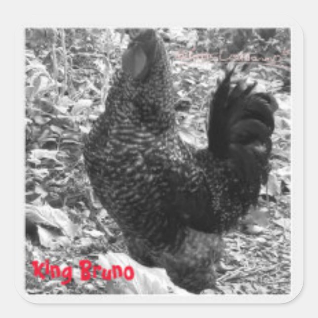 King Bruno sticker (Front)