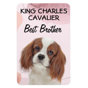 King Charles Cavalier Best Brother Magnet