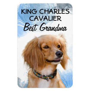 King Charles Cavalier Best Grandma  Magnet