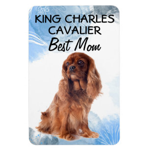 King Charles Cavalier Best Mum Magnet