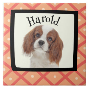 King Charles Cavalier customised photo frame Ceramic Tile