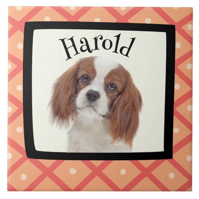 King Charles Cavalier customised photo frame Ceramic Tile (Front)