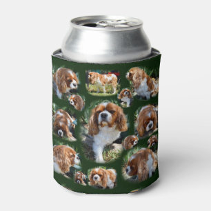 King Charles Cavalier Dog Collarge, Can Cooler