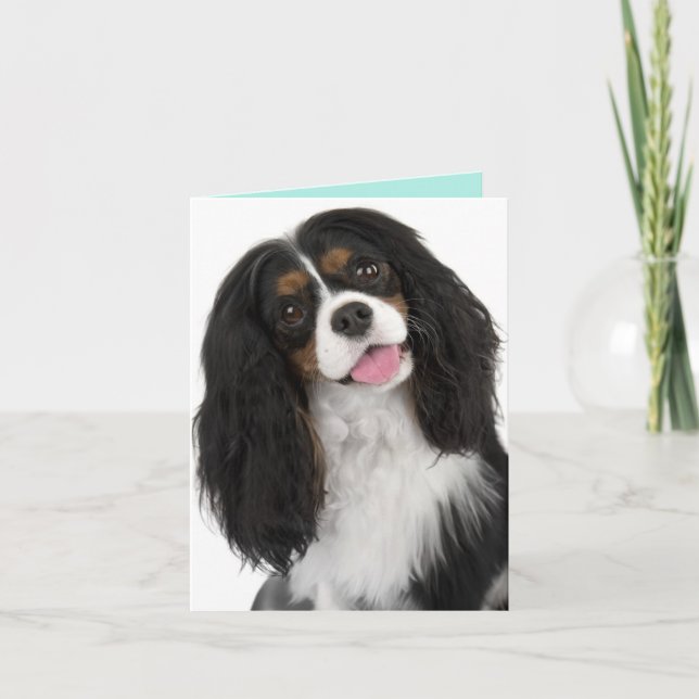 King Charles Cavalier- Note Card (Front)