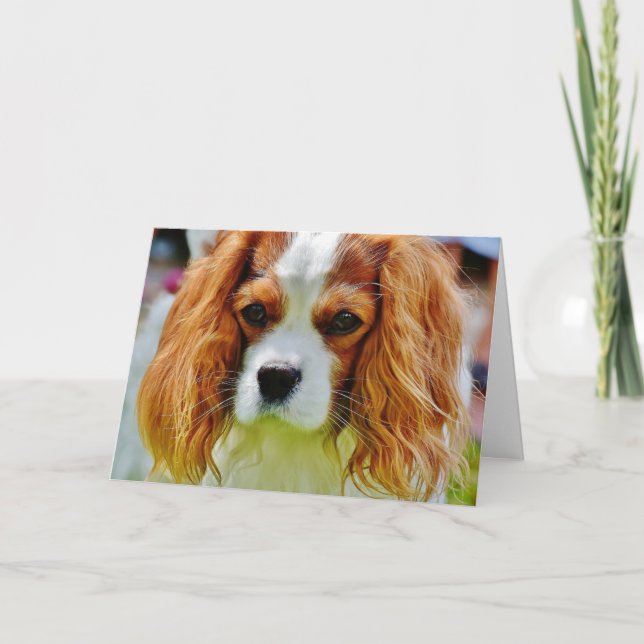 King Charles Cavalier Spaniel Birthday Card (Front)