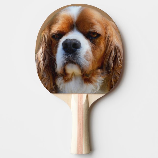 King Charles Cavalier Spaniel Face, Ping Pong Paddle (Front)
