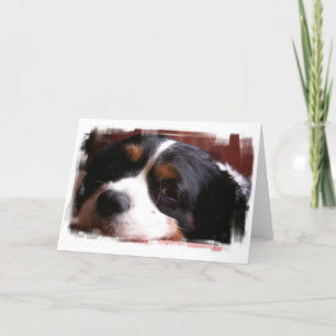 King Charles Cavalier Spaniel Greeting Card