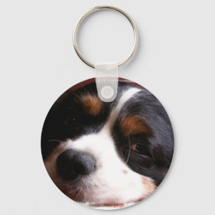 King Charles Cavalier Spaniel Keychain