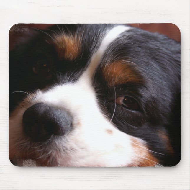 King Charles Cavalier Spaniel Mouse Pad (Front)