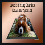 King Charles Cavalier Spaniel, Pop Out Art Poster<br><div class="desc">Pictured in a popout art design is a King Charles Cavalier Spaniel,  with the words love is a Cavalier Spaniel</div>