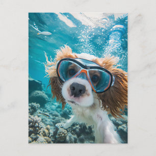 King Charles Cocker Spaniel driving in ocean Holiday Postcard