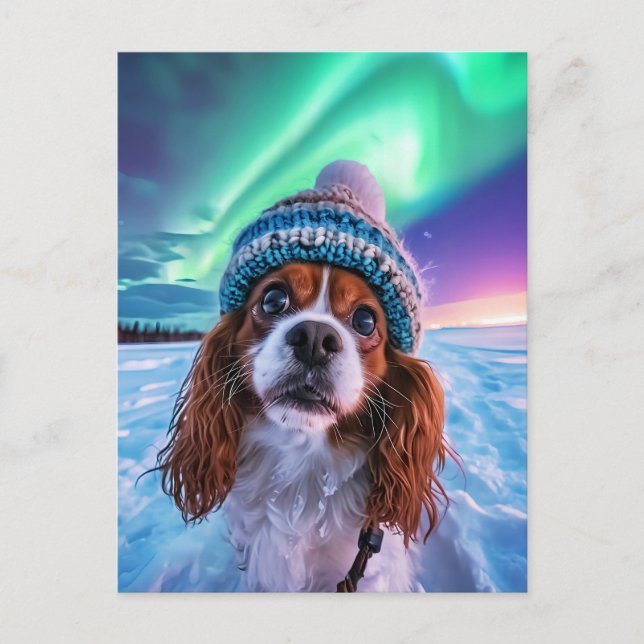 King Charles Cocker Spaniel with northern lights Holiday Postcard (Front)