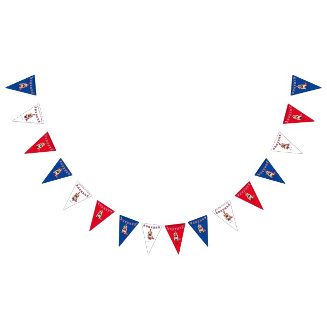 King Charles III Coronation  Bunting (All)