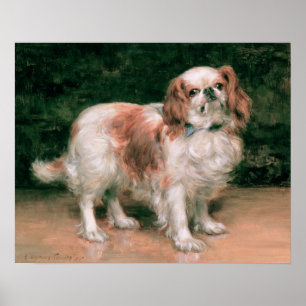 King Charles Spaniel, 1907 Poster