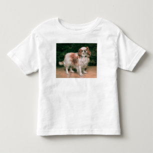 King Charles Spaniel, 1907 Toddler T-Shirt
