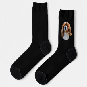King Charles Spaniel, Crew Socks
