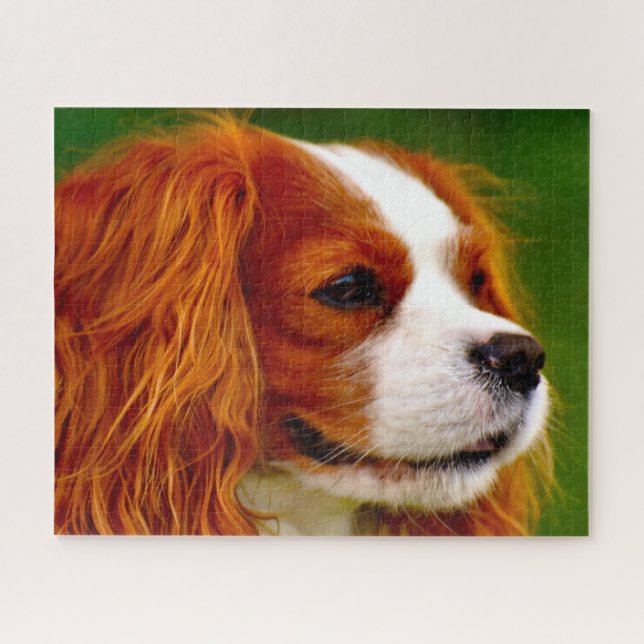 King Charles Spaniel Dog. Jigsaw Puzzle (Horizontal)