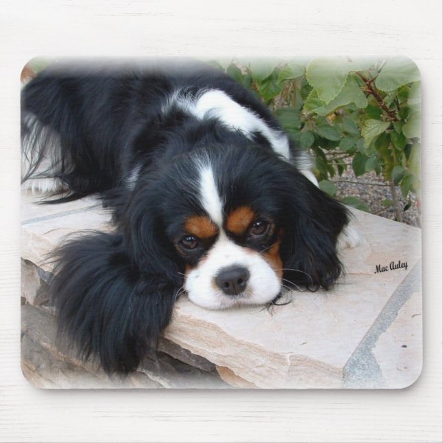 King Charles Spaniel mouse pad (Front)