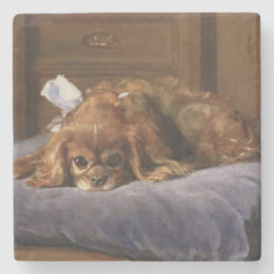 King Charles Spaniel Stone Coaster