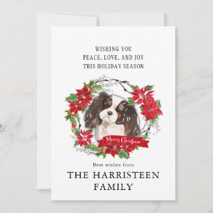 King Charles Spaniel Tricolor Poinsettia Christmas Holiday Card