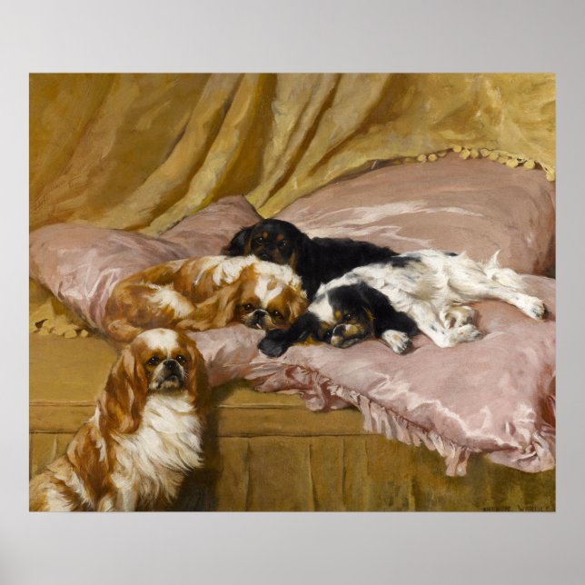 King Charles Spaniels by Arthur Wardle Poster (Front)