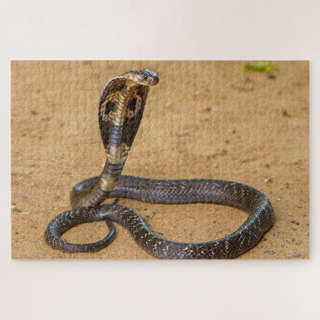 King Cobra Jigsaw Puzzle (Horizontal)