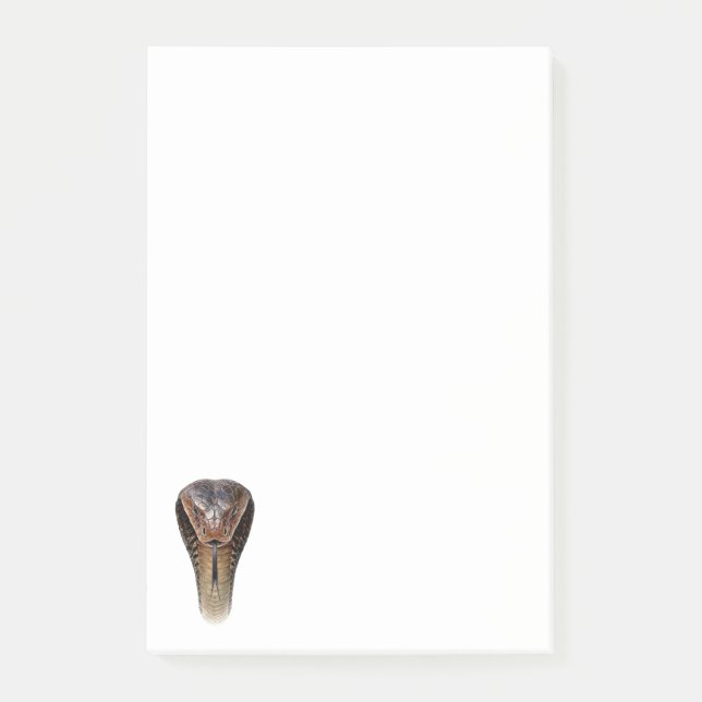 King Cobra Post-it Notes (Front)